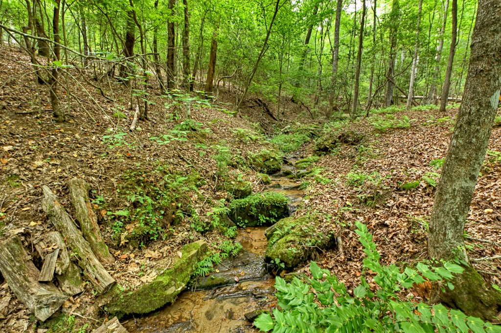 1431 Cashes Valley Lane Cherry Log, GA 30522 - Photo 50 of 57