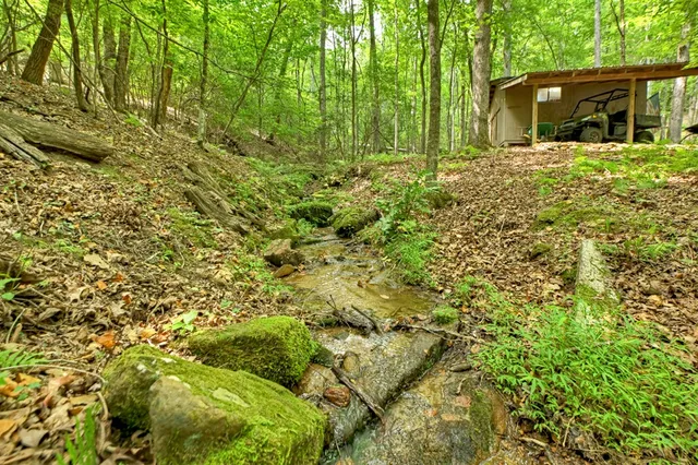 $499,850 | 1431 Cashes Valley Lane, Cherry Log, GA 30522