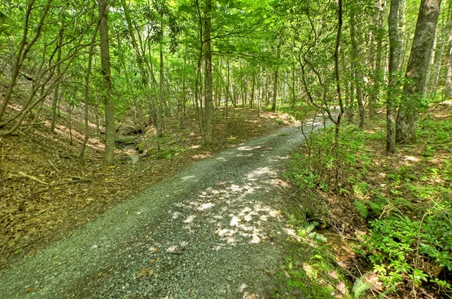 a backyard of a house with lots of green space and chair