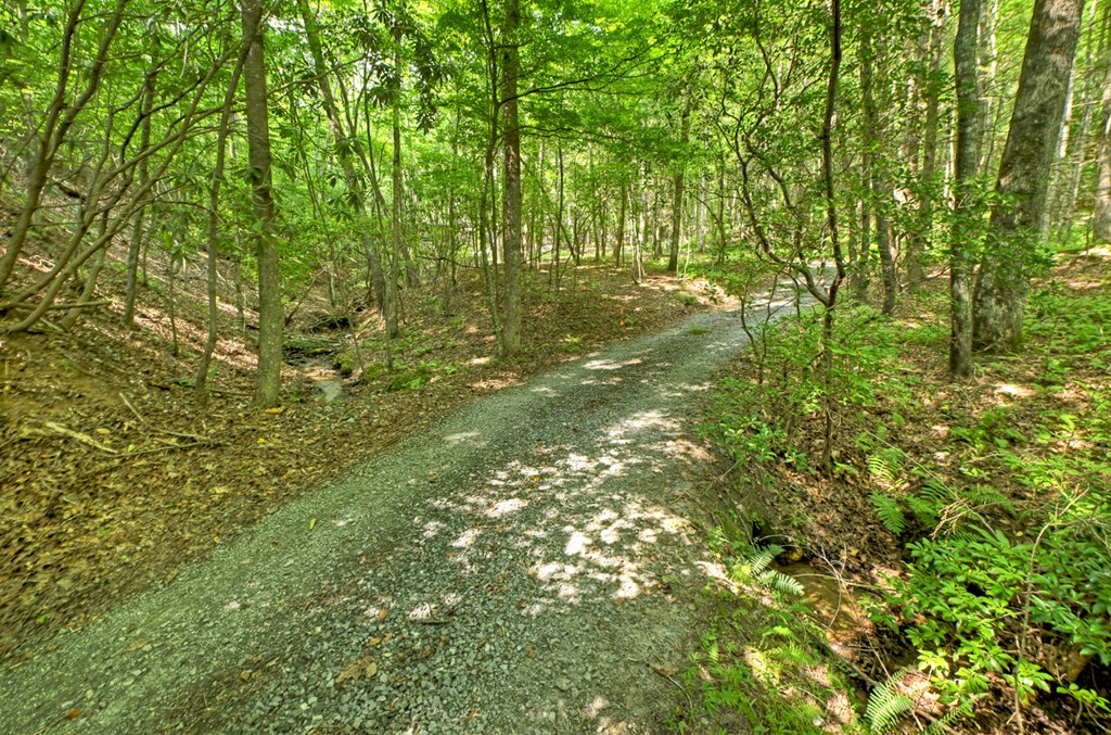 1431 Cashes Valley Lane Cherry Log, GA 30522 - Photo 8 of 57