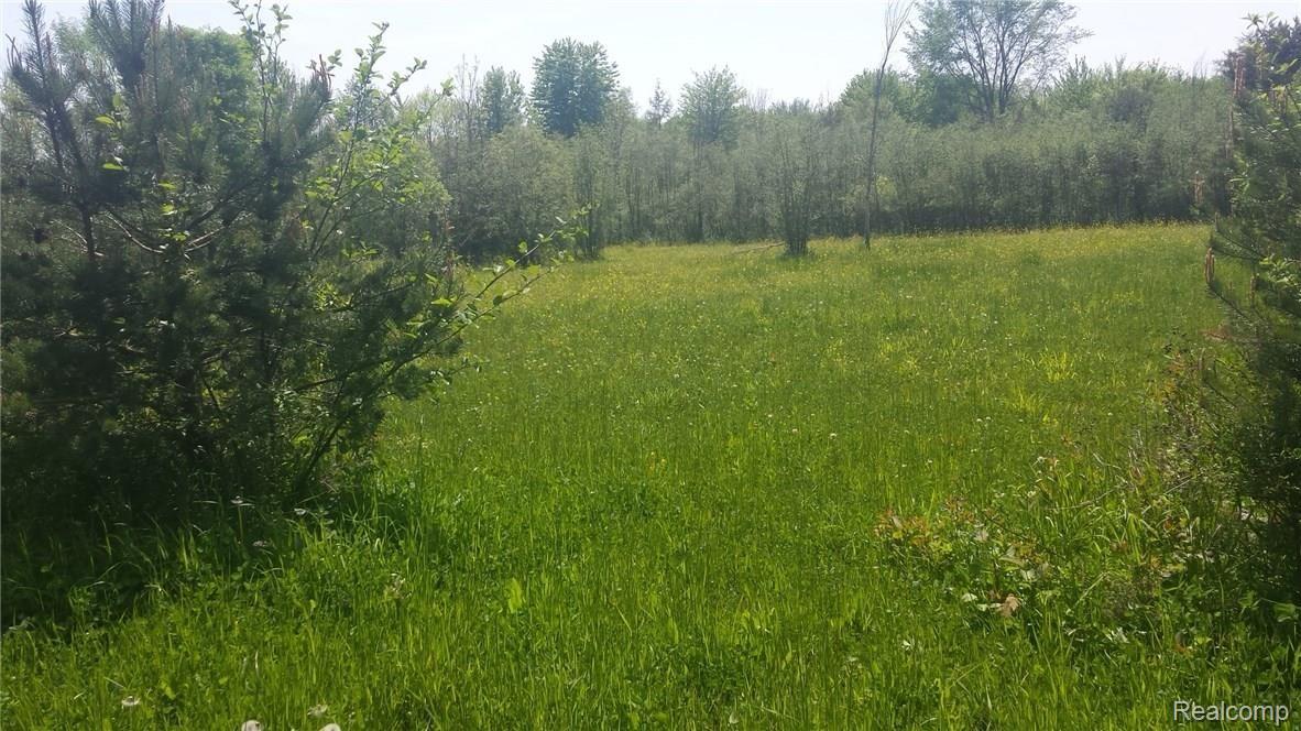 11445 Norman Road Yale, MI 48097 - Photo 26 of 32 This is view 4 of the field.