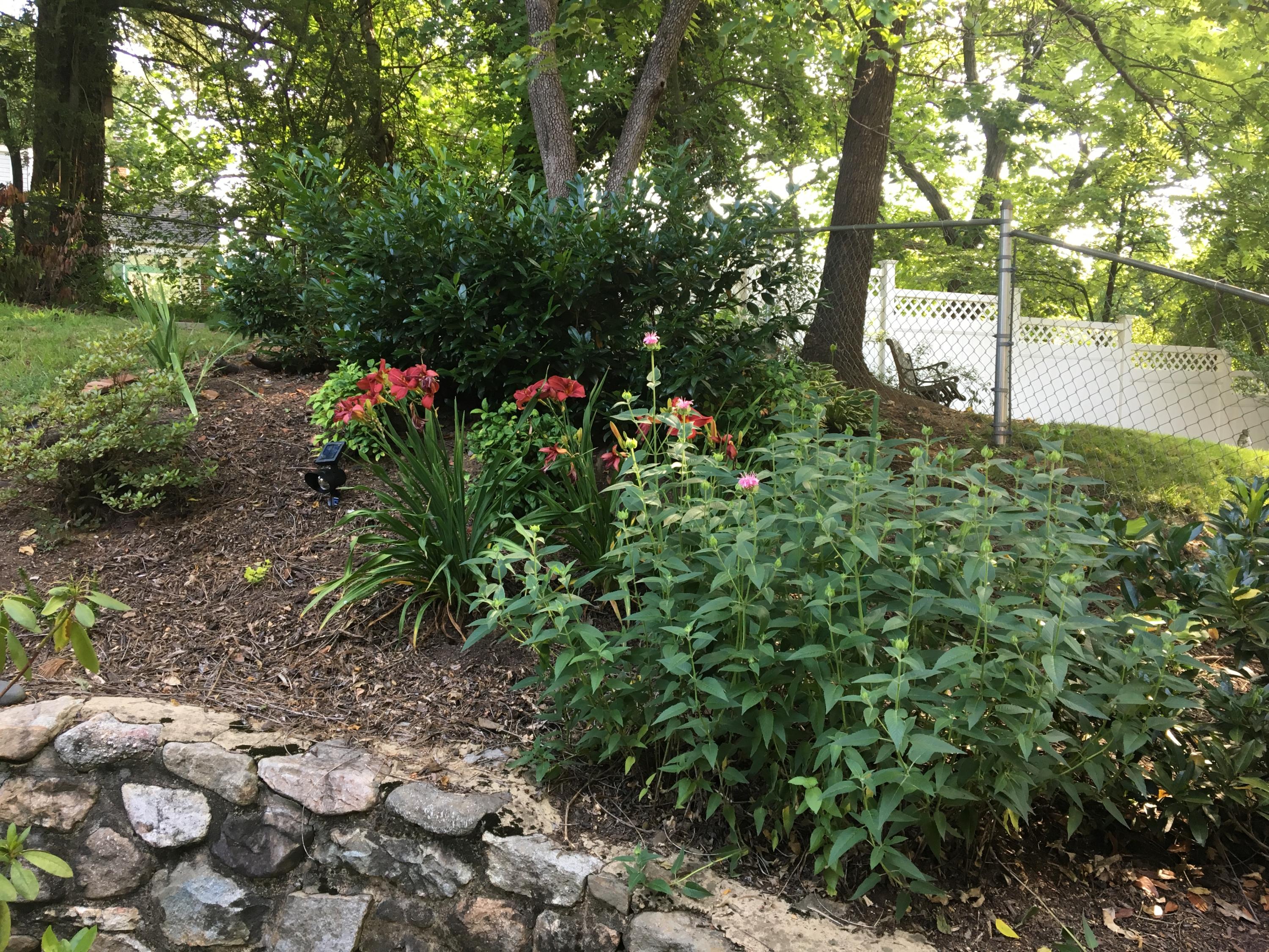 1115 Clearfield Road Southwest Roanoke, VA 24015 - Photo 10 of 39 7