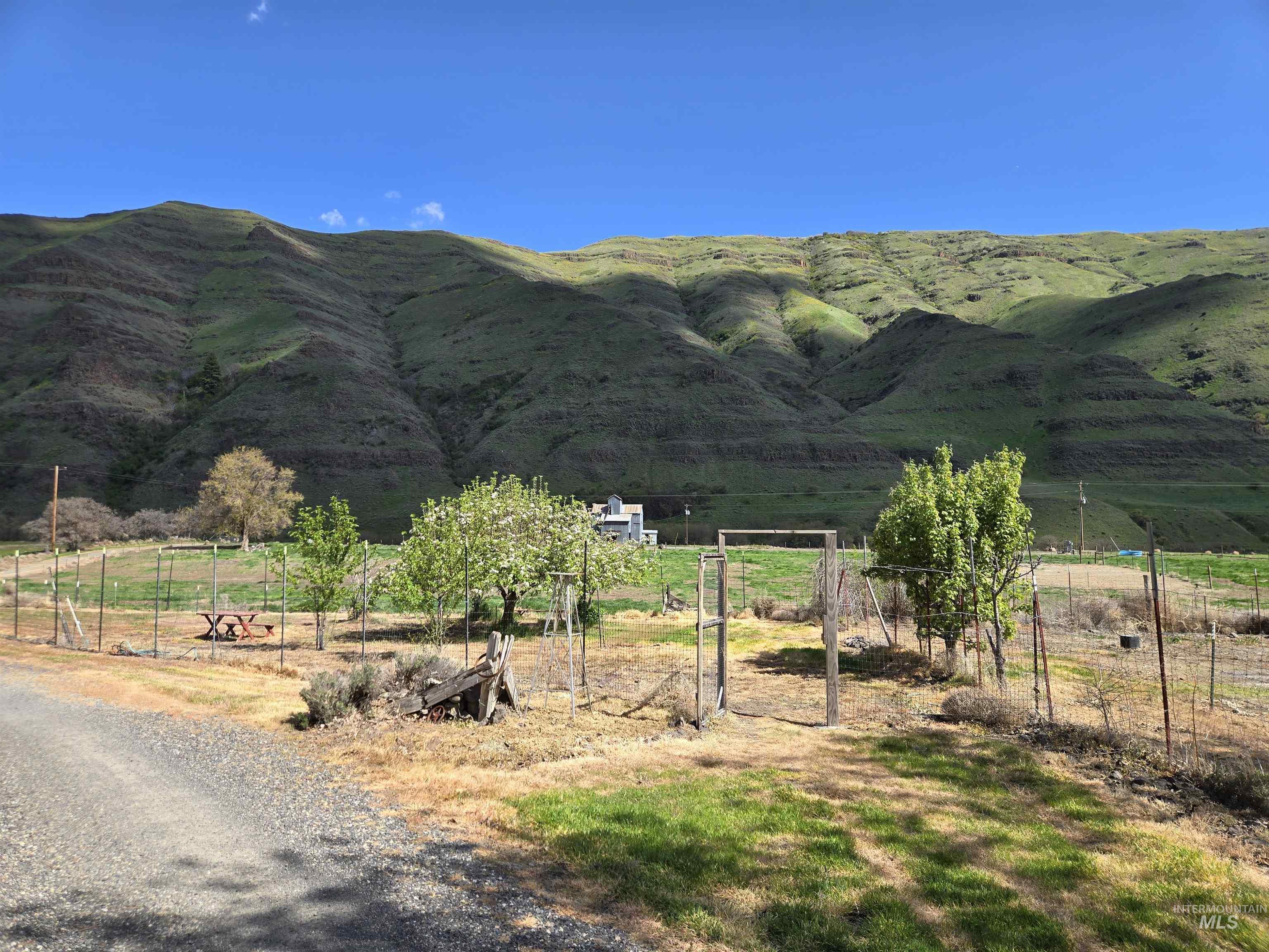 17082 Snake River Road Asotin, WA 99402 - Photo 19 of 31
