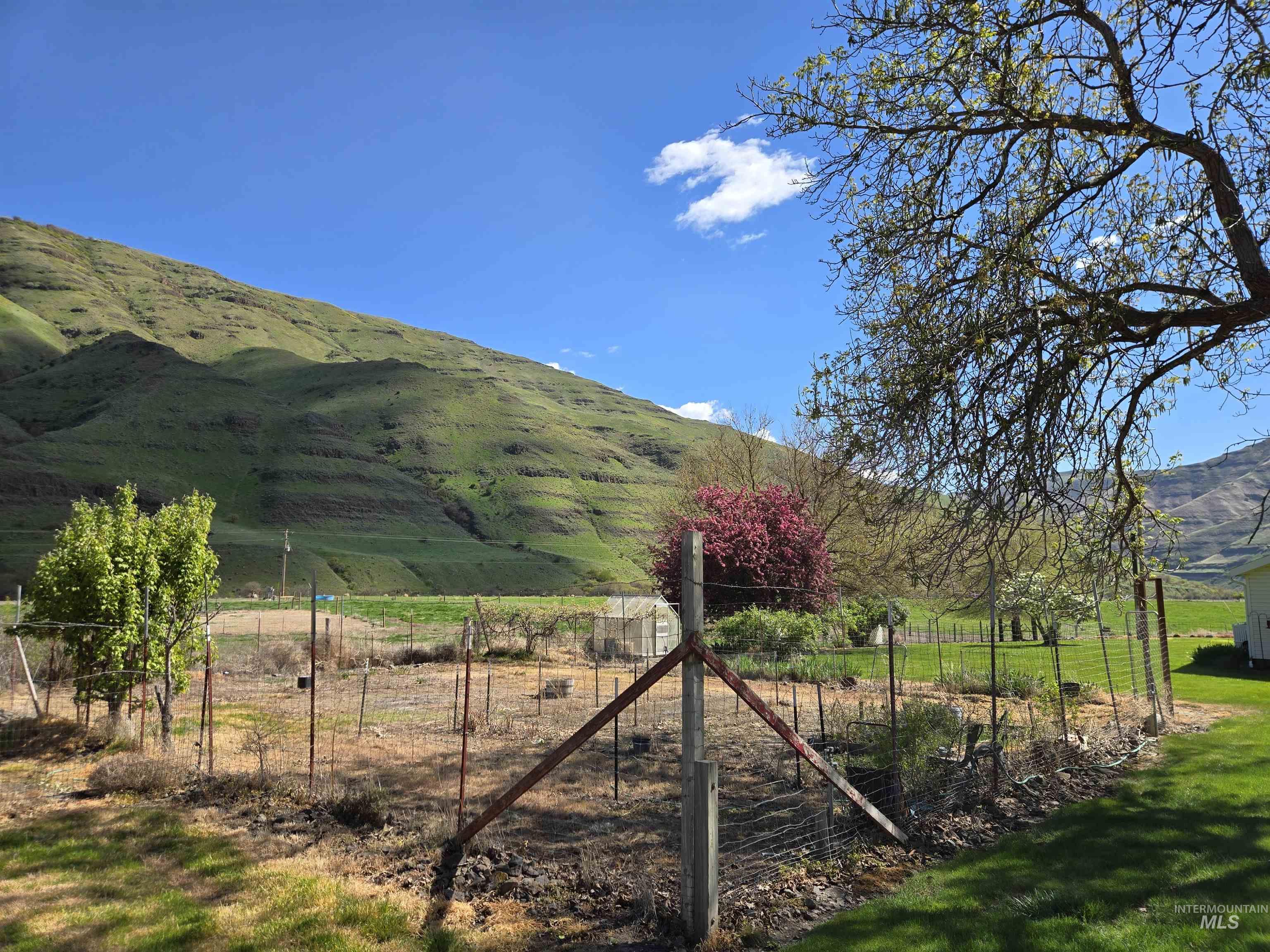 17082 Snake River Road Asotin, WA 99402 - Photo 20 of 31