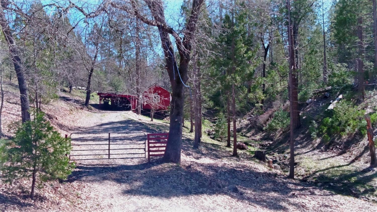 6936 Dogtown Road Coulterville, CA 95311 - Photo 1 of 1 a view of a outdoor space with trees