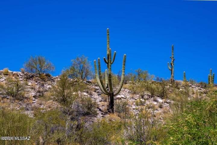 6873 East Snyder Road, Unit 2 Tucson, AZ 85750 - Photo 7 of 15