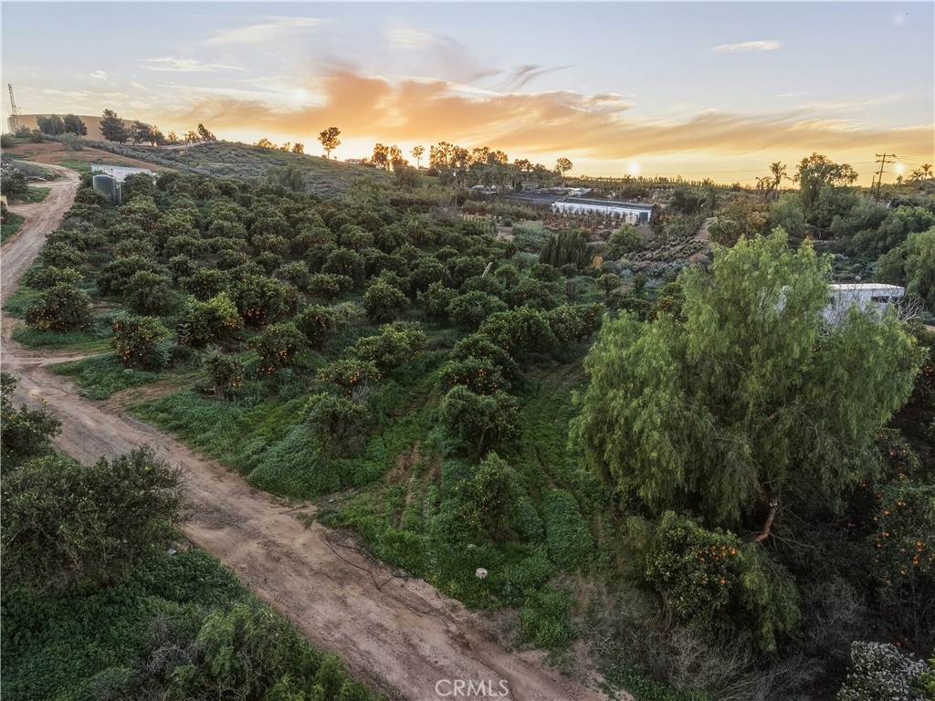 17575 Wicker Way Riverside, CA 92504 - Photo 25 of 32 a view of a city with lush green forest