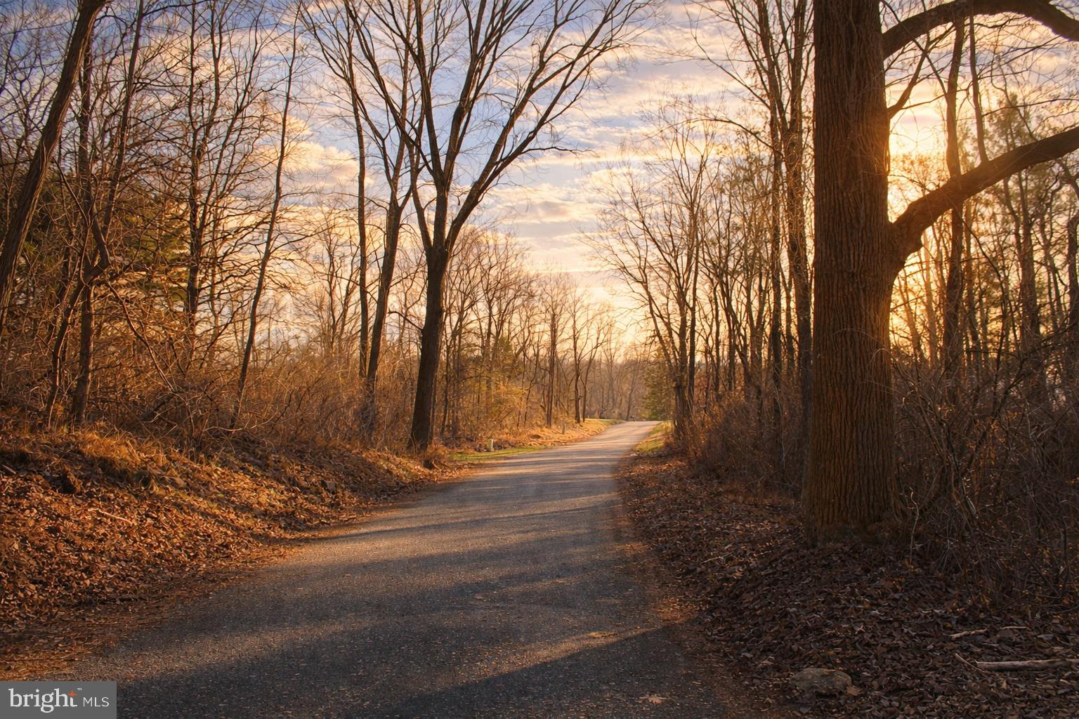 0 Kridlers Schoolhouse Road Manchester, MD 21102 - Photo 17 of 23 a view of backyard of green space