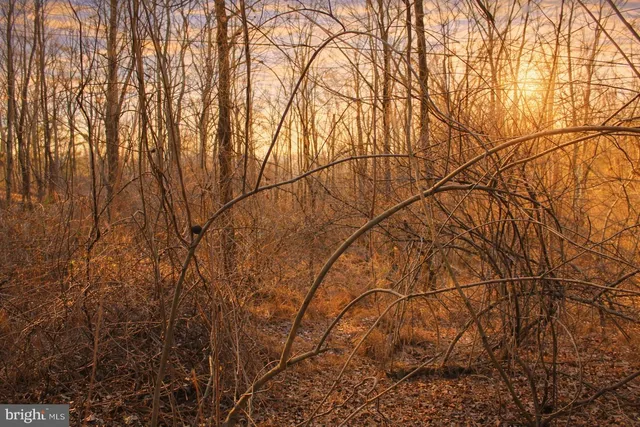 a view of a backyard of the house