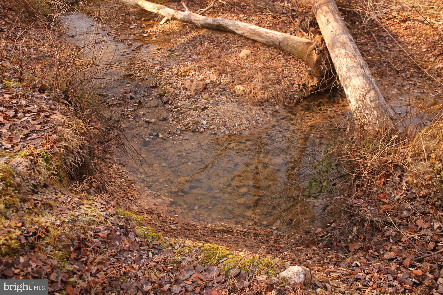 0 Kridlers Schoolhouse Road Manchester, MD 21102 - Photo 21 of 23 a close up of a tree