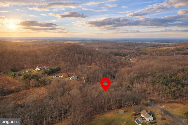 a view of a dry yard