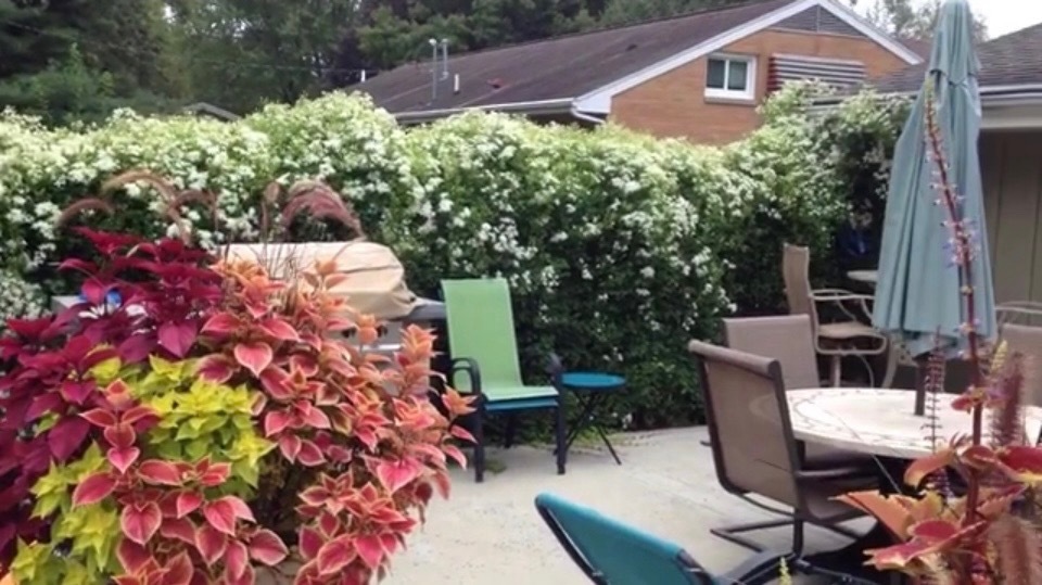 9 Linda Lane Normal, IL 61761 - Photo 39 of 54