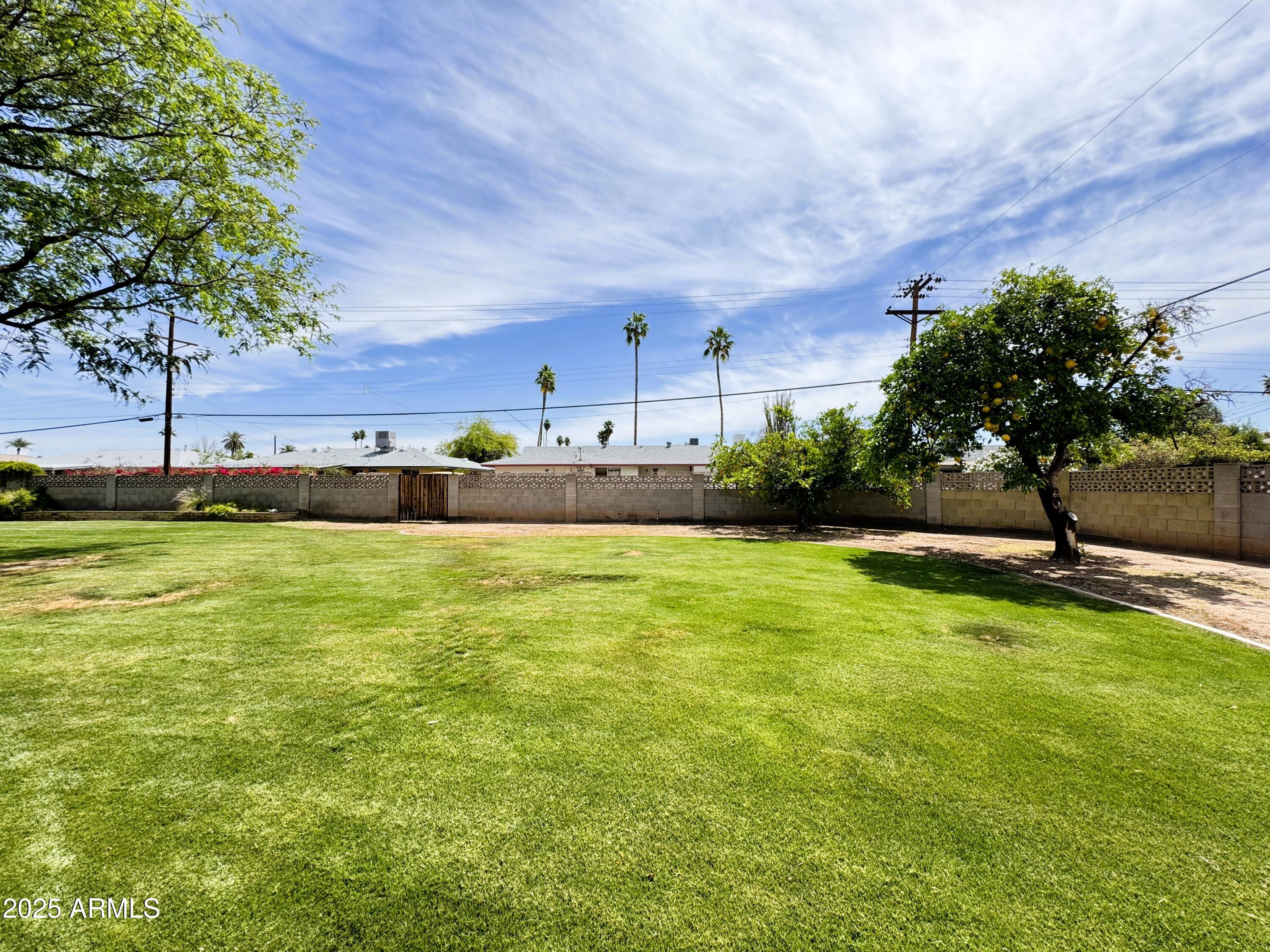 2749 South Rita Lane Tempe, AZ 85282 - Photo 45 of 51 45 Backyard