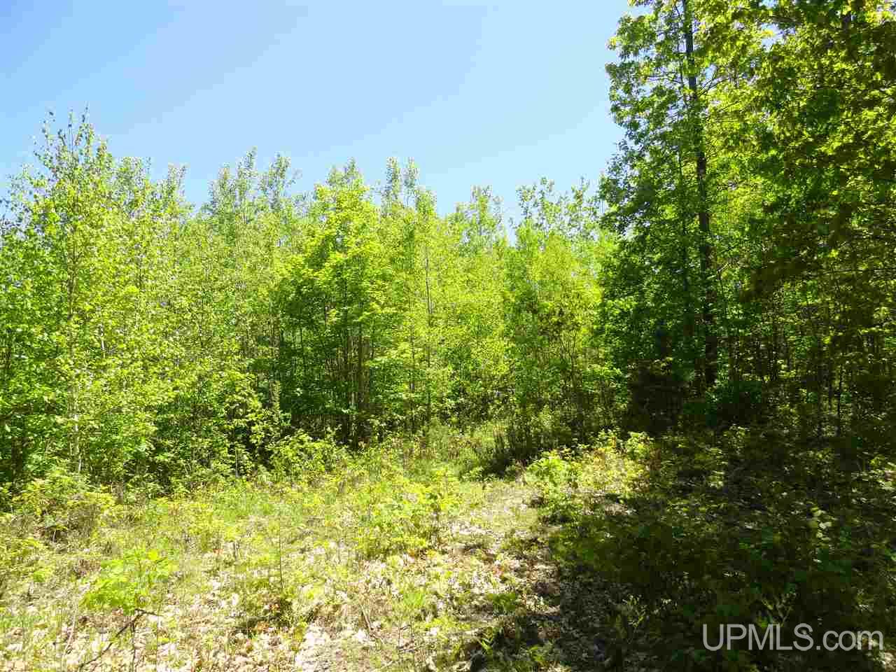 40 Two 2 Mile Creek Road Channing, MI 49815 - Photo 11 of 14 Gallery Image 11