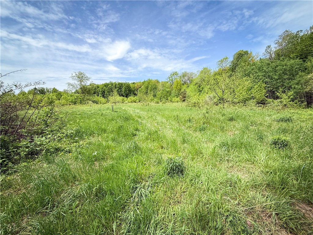 Gifford Road Hannibal, NY 13074 - Photo 28 of 50