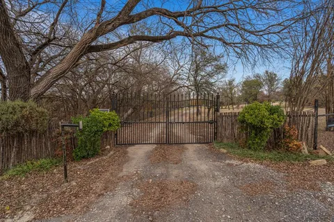 a view of a backyard with plants and trees
