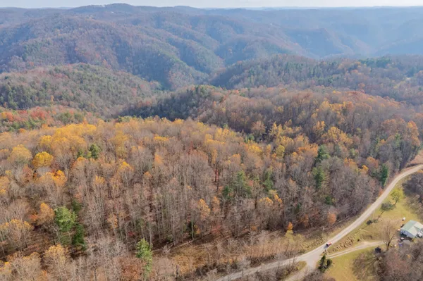 a view of a dry yard
