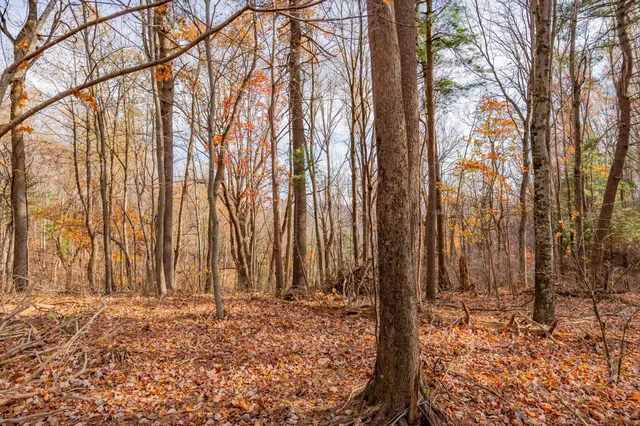 a view of outdoor space with wooden fence