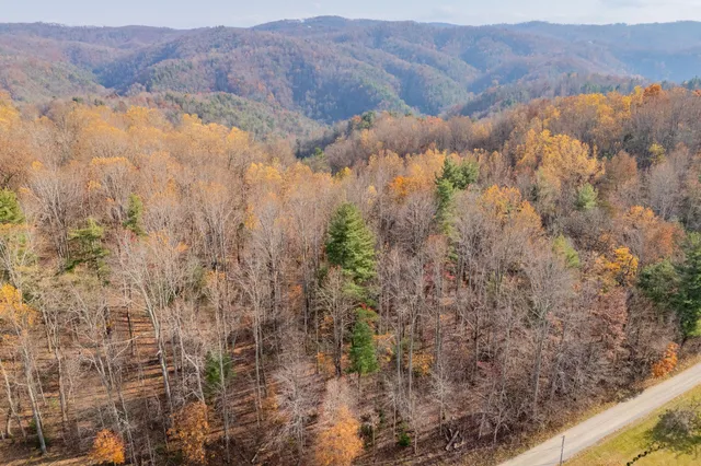 a view of mountain and tree