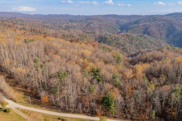 a view of a forest with mountains in the background