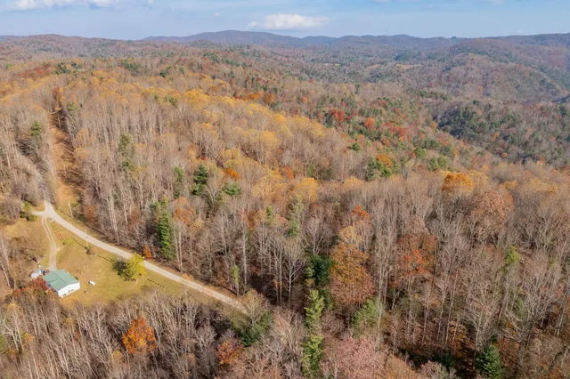 a view of a forest with a forest