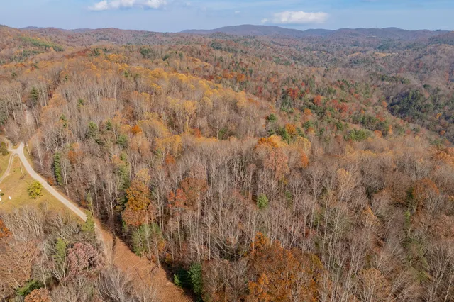 a view of mountain and trees
