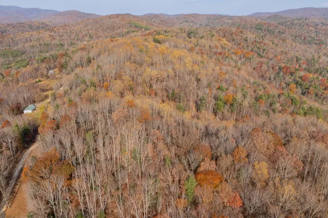 a view of a lush green hillside and a houses