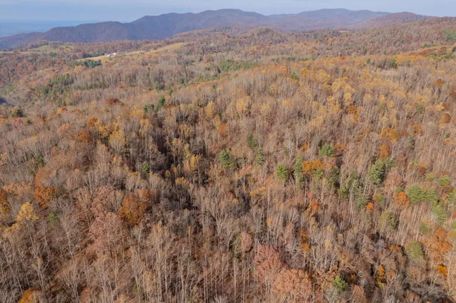 a view of a dry yard