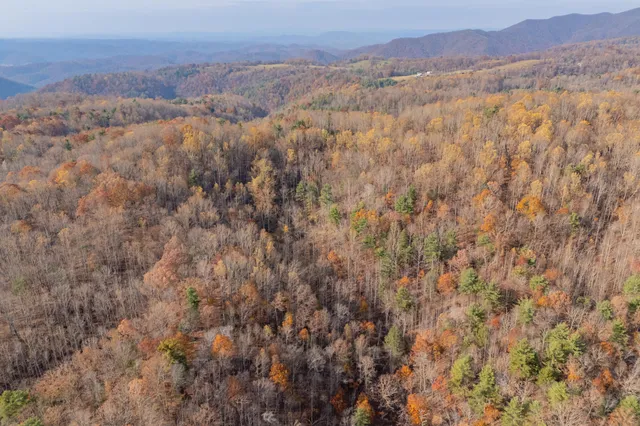 a view of a dry yard