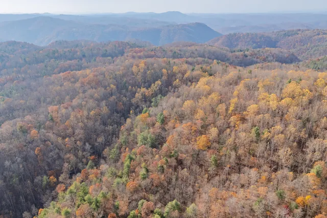 a view of a dry yard