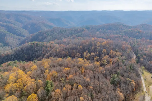 a view of a dry yard with mountains and green space