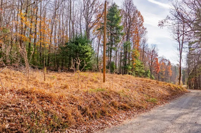 a view of snow on a road