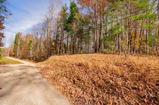 a view of road covered with snow