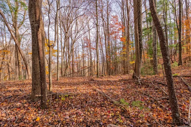 a view of a backyard of the house