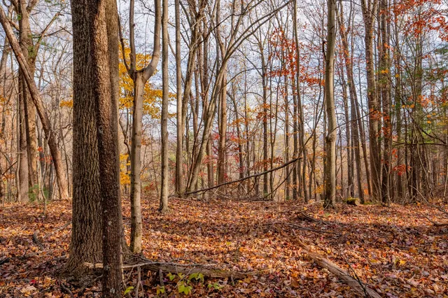 a view of backyard space