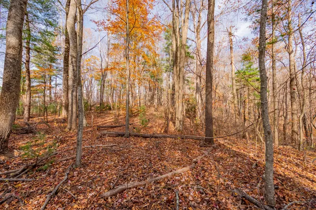 a view of outdoor space