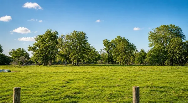 $750,000 | 0 County Road 42, Rosharon, TX 77583