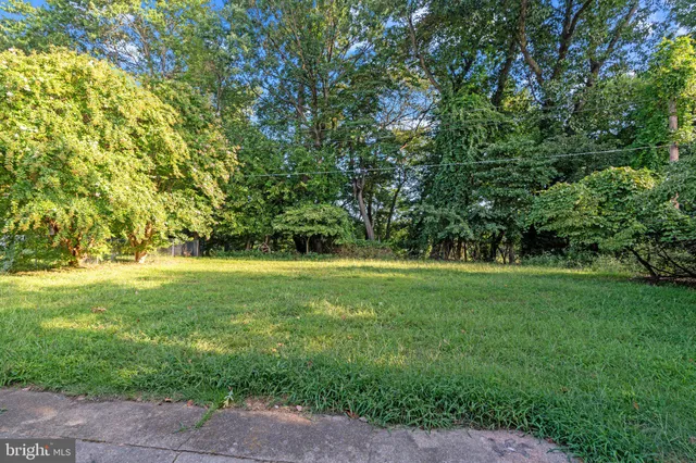 a view of yard with green space