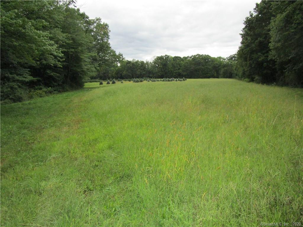 a view of field with trees in the background
