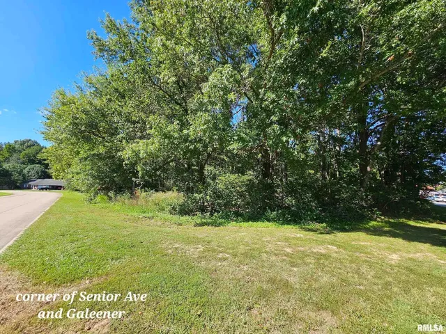 a view of outdoor space with a garden