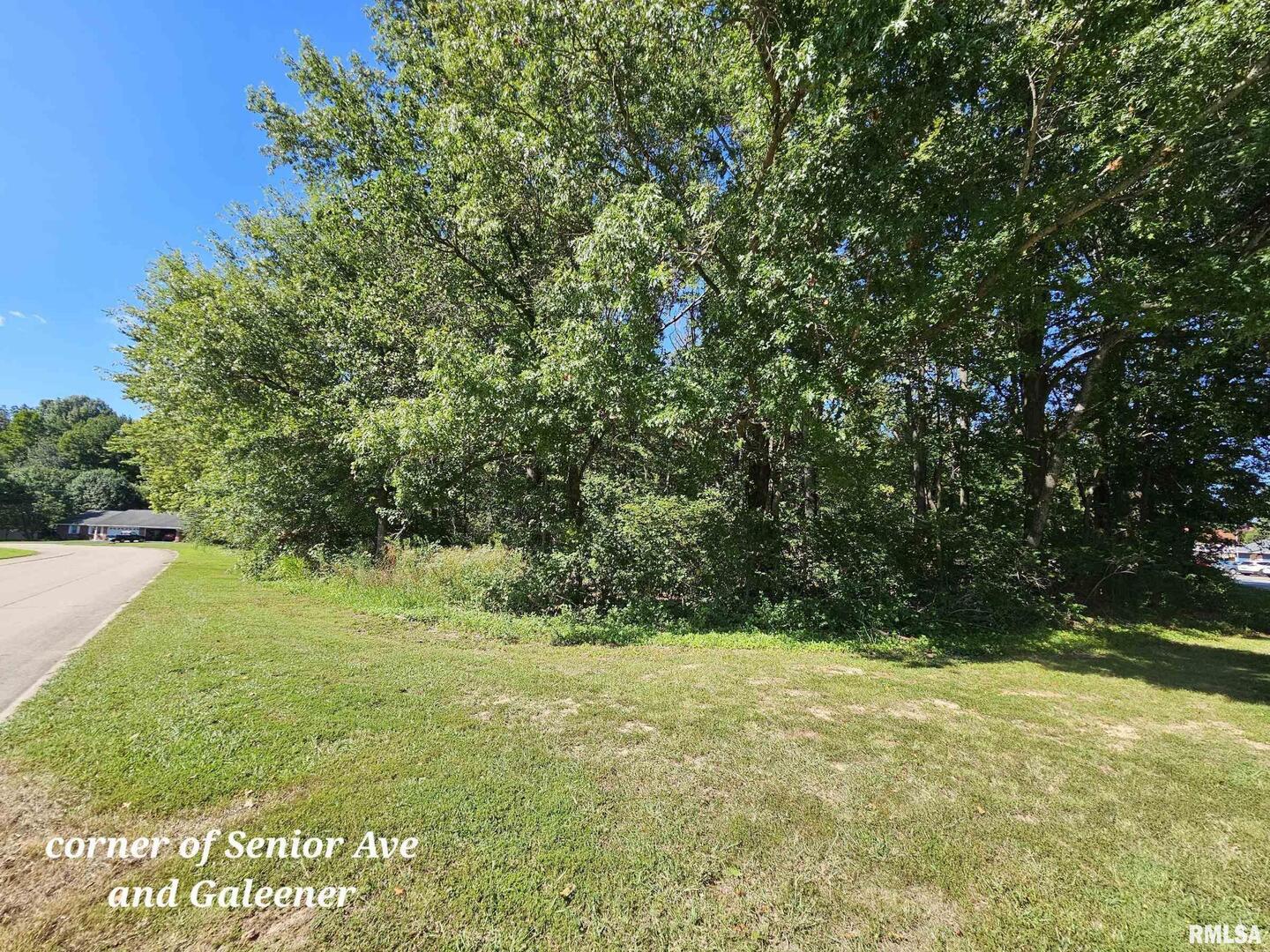 Tbd Galeener Street Vienna, IL 62995 - Photo 2 of 6