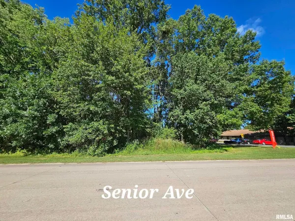 a green field with lots of trees in front of it