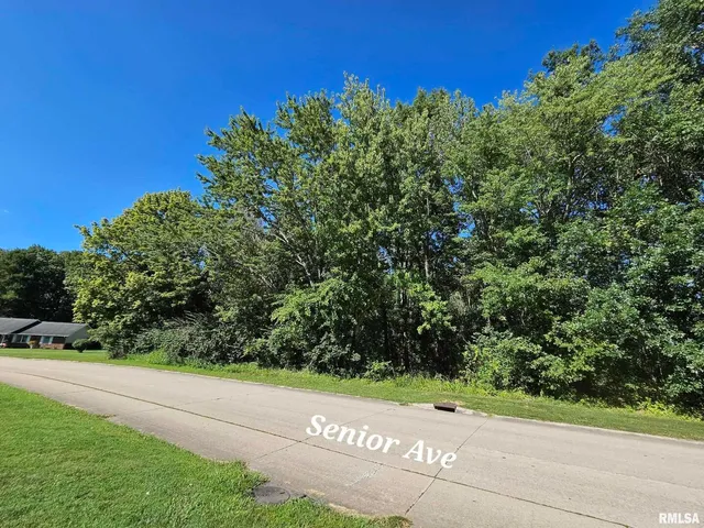 a view of a street with a tree in the background