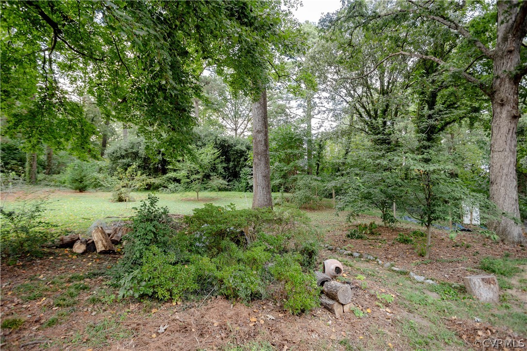 3160 Mountclair Road Chester, VA 23831 - Photo 45 of 50 a view of a forest with trees in the background