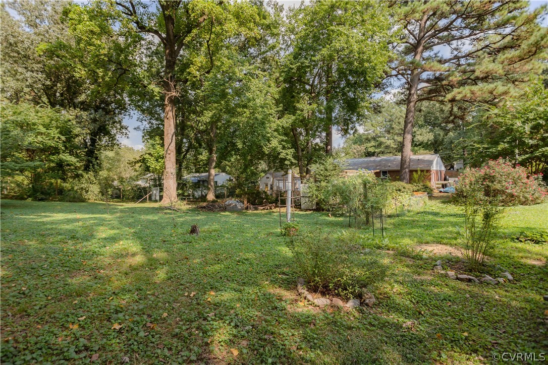 3160 Mountclair Road Chester, VA 23831 - Photo 49 of 50 a view of a park with large trees