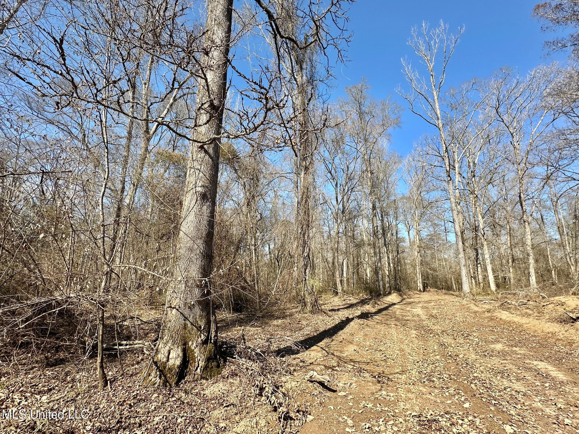 1 Evans Road Carthage, MS 39051 - Photo 64 of 149 89