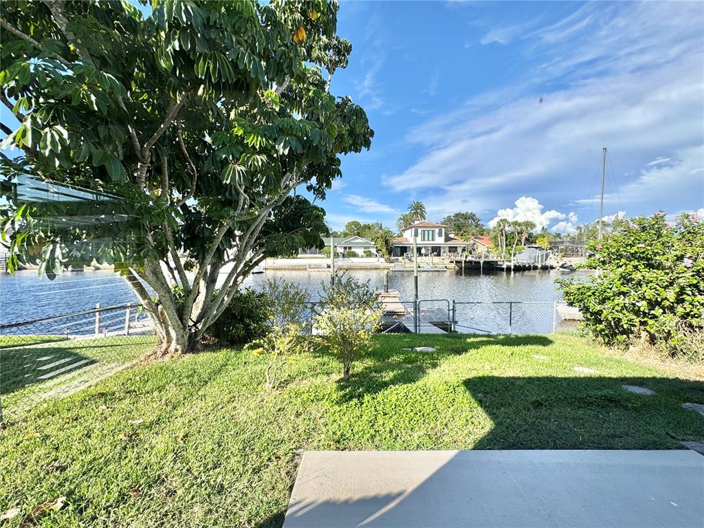 4335 Floramar Terrace New Port Richey, FL 34652 - Photo 24 of 30 a view of a yard with plants and a large tree