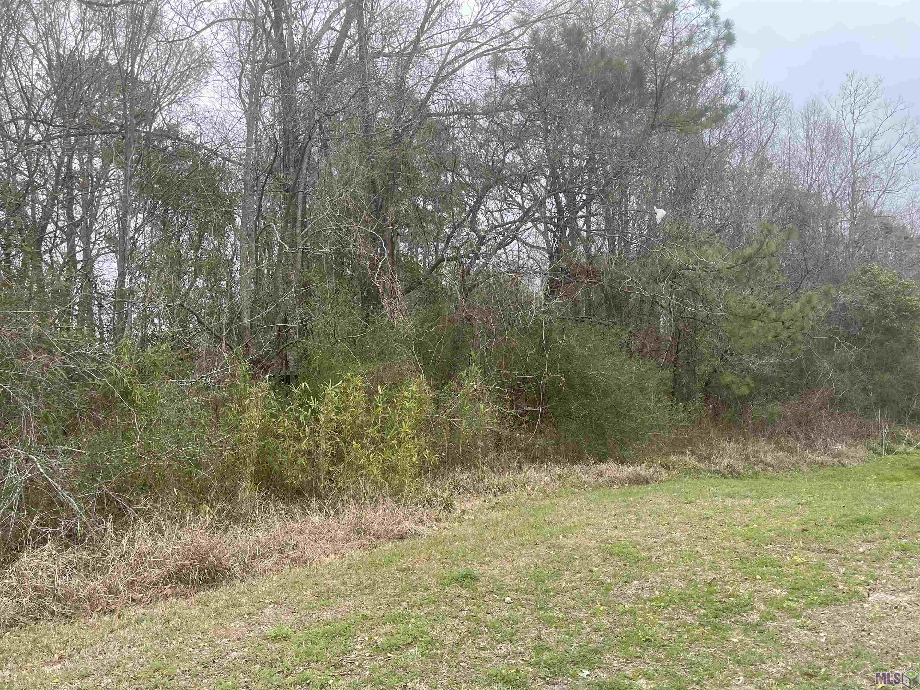 Tbd North Flannery Road Baton Rouge, LA 70814 - Photo 4 of 5 Gallery Image 4