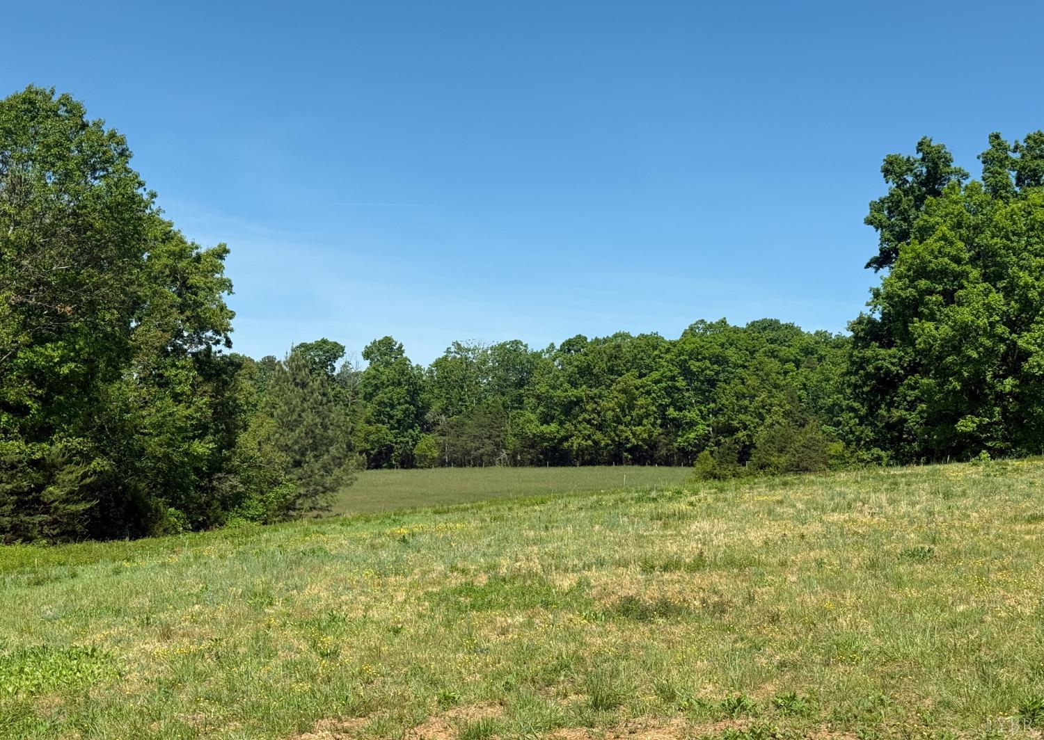 9009 Stonewall Road Appomattox, VA 24522 - Photo 38 of 38 a view of a grassy field with trees in the background