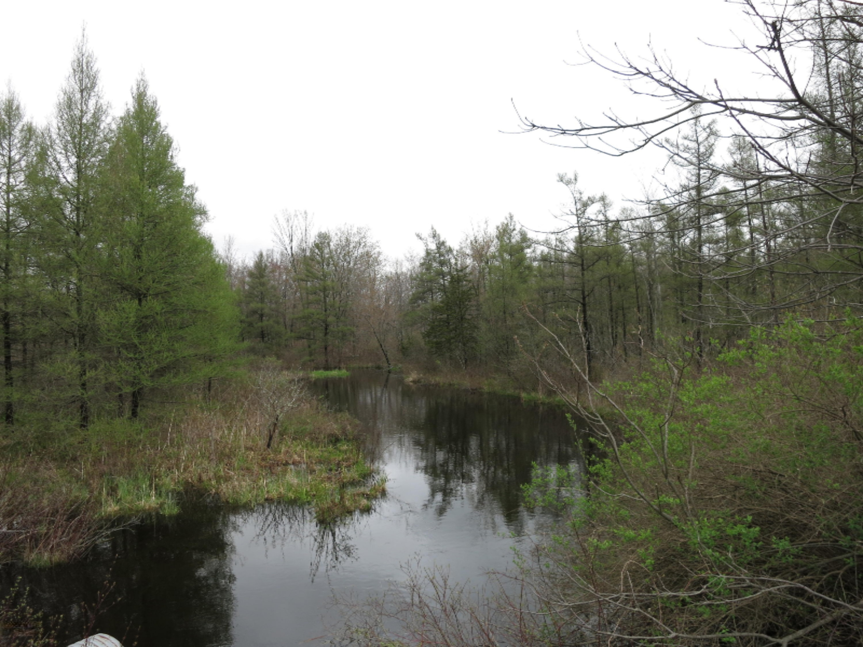 48 A Johnson Road Three Rivers, MI 49093 - Photo 1 of 4 IMG_5149